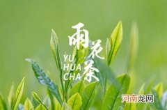 南京雨花茶的起源和品质特点 南京雨花茶的特点和功效