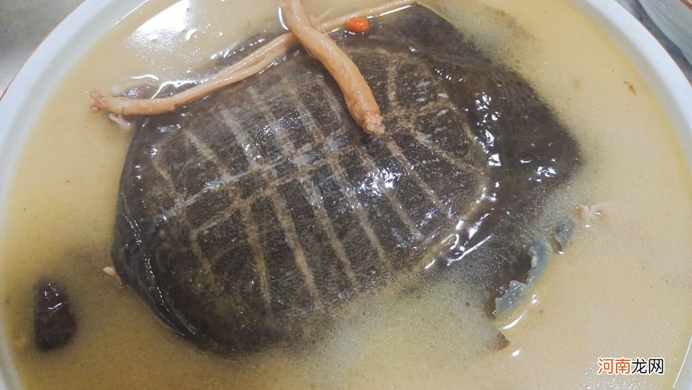 清炖甲鱼这样做 清炖甲鱼汤的做法