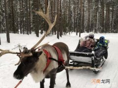圣诞老人坐的雪橇是什么动物拉的 圣诞老人的雪橇是由什么动物拉的