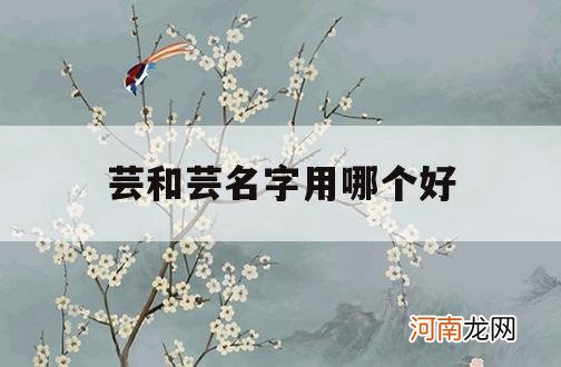 芸和芸名字用哪个好_芸芸这个名字怎么样