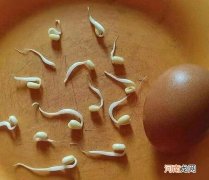 精子发黄能自愈吗 精子有点发黄是什么原因