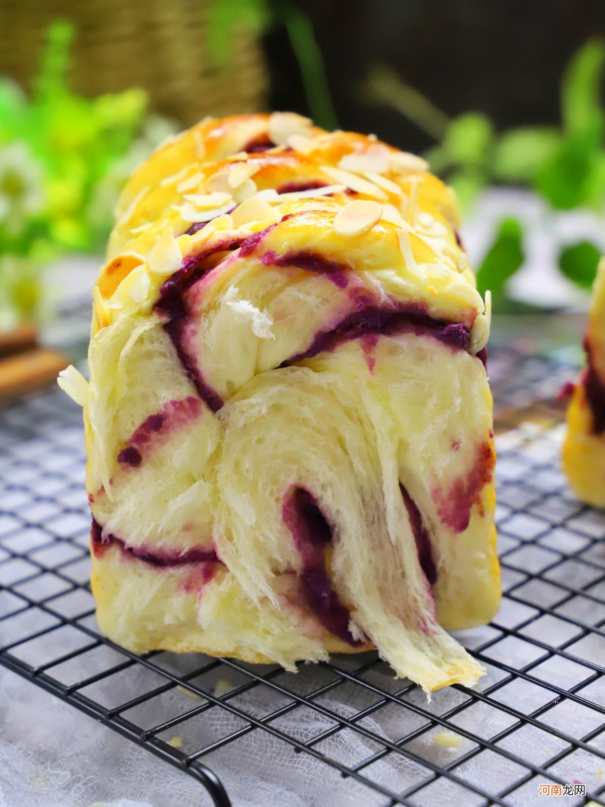 用了6年的吐司配方简单好做 吐司面包片的做法