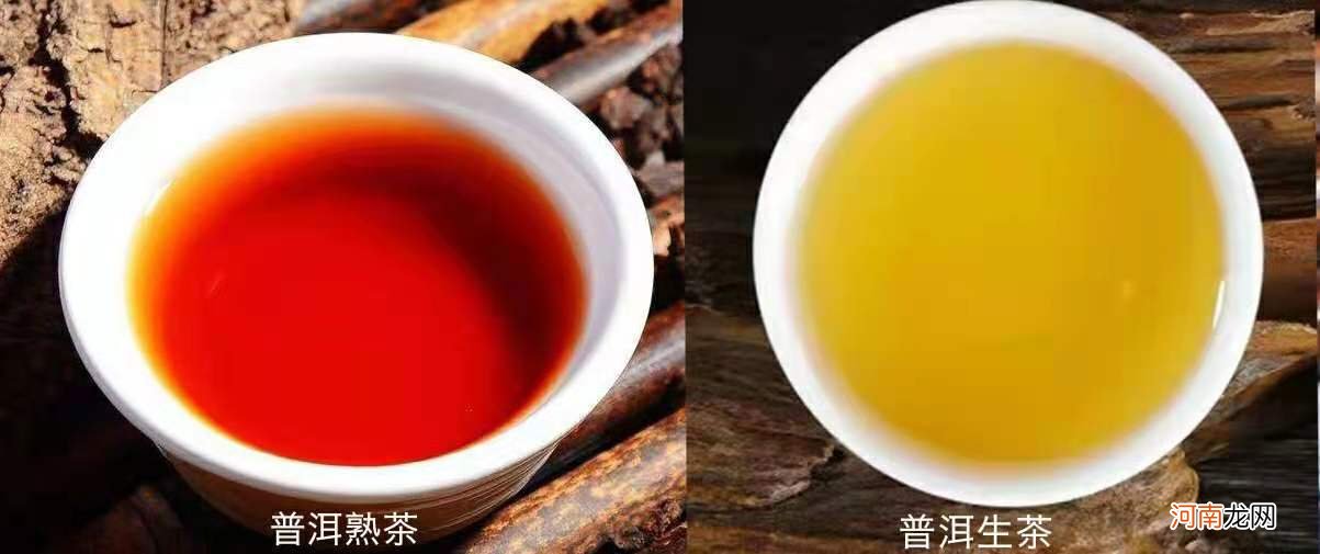 普洱茶属于什么茶