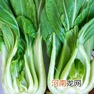 香菇油菜的做法 香菇油菜的家常做法