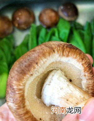 香菇油菜的做法 香菇油菜的家常做法