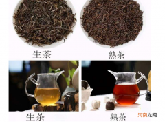 普洱生茶和熟茶有什么不同