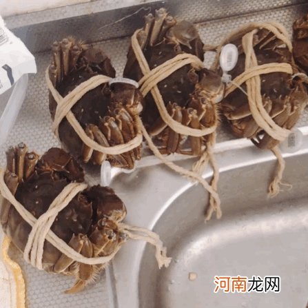 蟹粉豆腐怎么做好吃