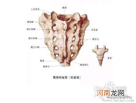 孕晚期尾骨疼是入盆吗