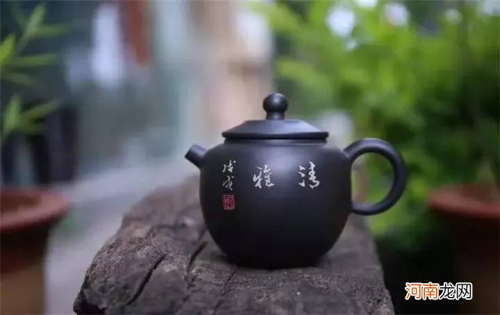 普洱用什么茶具泡比较好