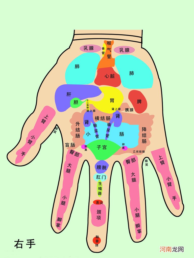 一看就懂的手诊口诀 手诊口诀大全