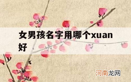 女男孩名字用哪个xuan好_男女取什么名字好