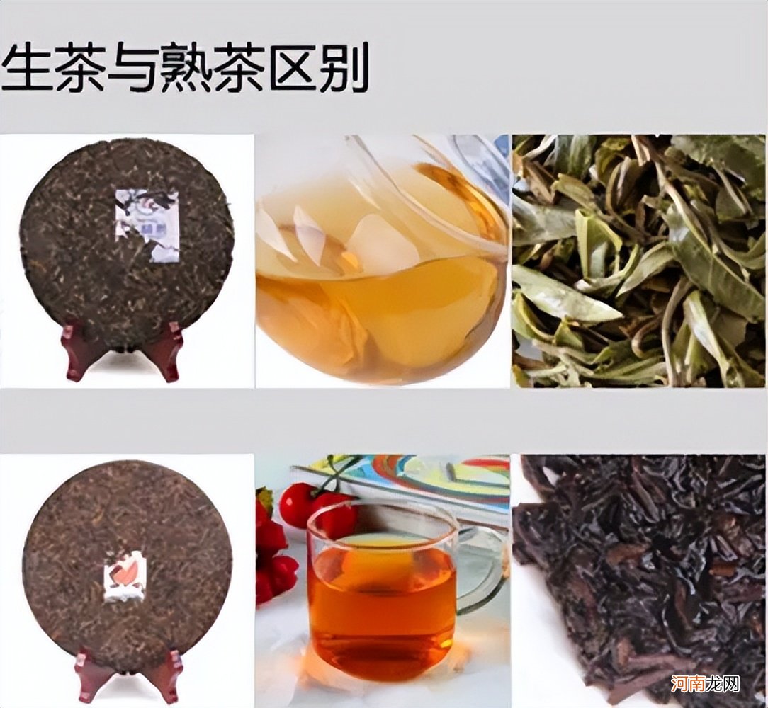 生茶和熟茶哪个好