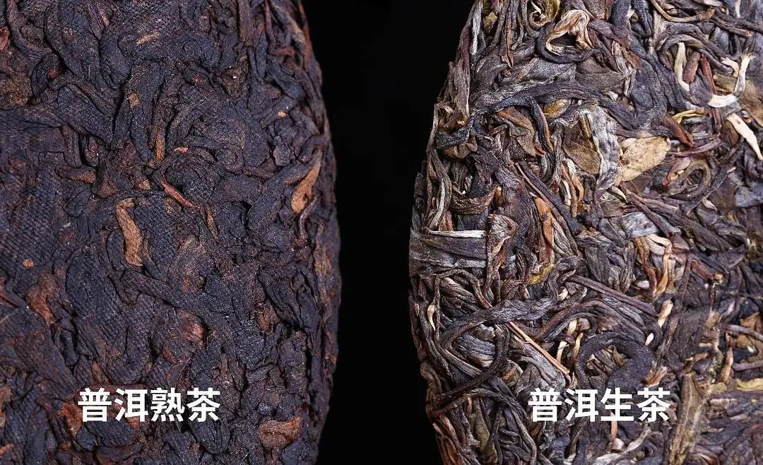 生茶和熟茶哪个好