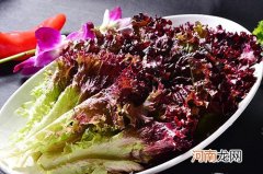 紫叶生菜的营养价值及营养成分 紫叶生菜的功效与作用