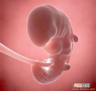 孕晚期胎儿总在左边动