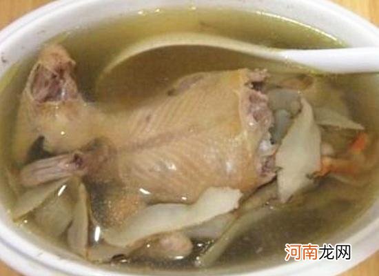 鸽子汤的做法清炖鸽子汤