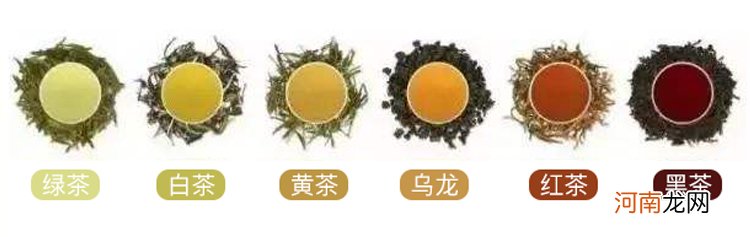 铁观音是红茶还是绿茶