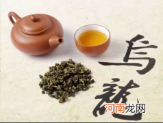 乌龙茶和绿茶的区别 乌龙茶是绿茶吗