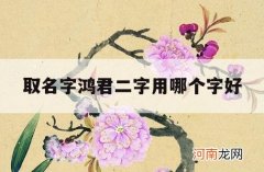 取名字鸿君二字用哪个字好_鸿两个字名字