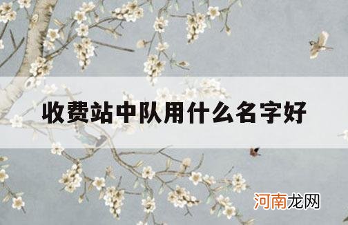 收费站中队用什么名字好_附近收费站叫什么名字