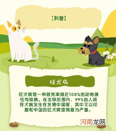 被家猫抓伤轻微破皮 被家猫抓伤需要打狂犬疫苗吗