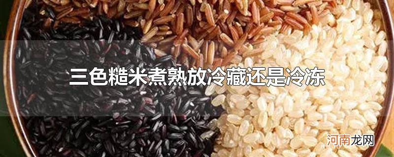 三色糙米煮熟放冷藏还是冷冻