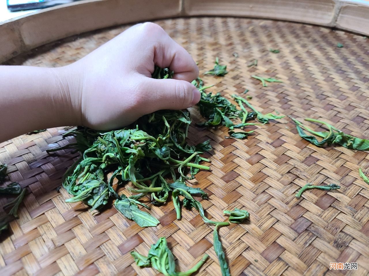 家庭手工制作绿茶 原叶绿茶做法