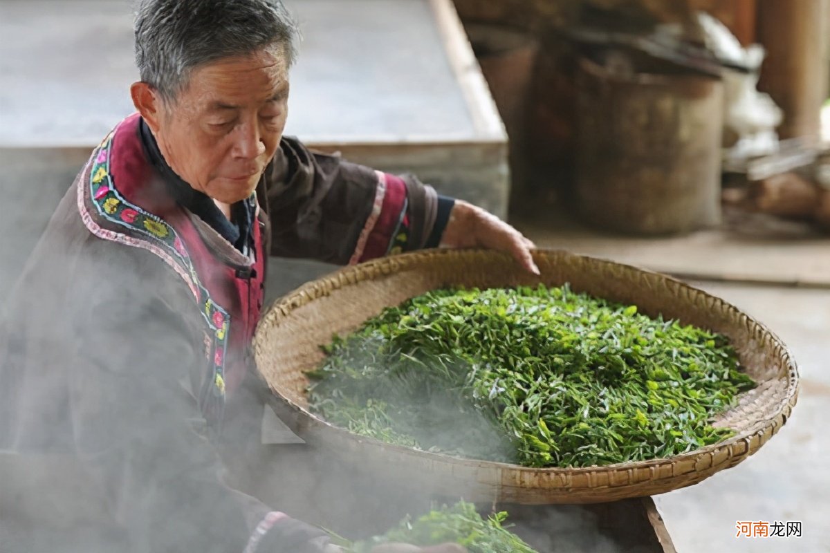 蒸青绿茶和炒青绿茶的区别