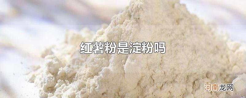 红薯粉是淀粉吗