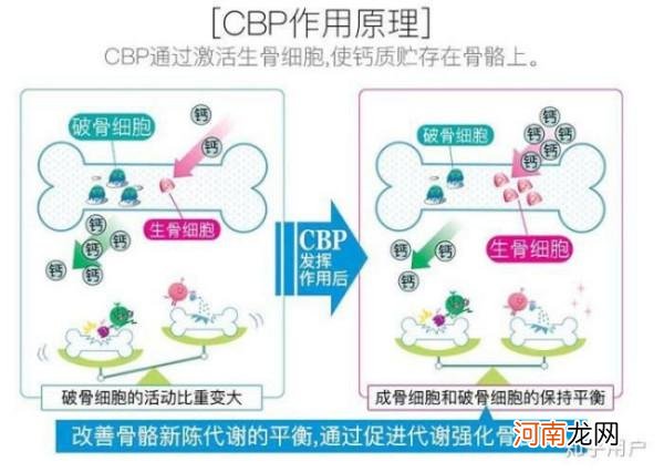 初乳的概念和特点