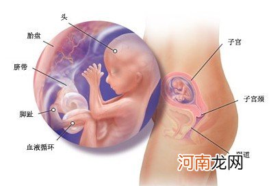 十种不适宜受孕的状况