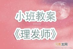 大班主题小小理发师教案反思