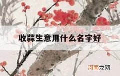 收蒜生意用什么名字好_大蒜门市叫什么名字好