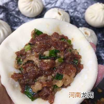 百吃不厌的一次性发酵的肉包子 自制包子的做法大全发面