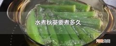 水煮秋葵要煮多久