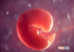 7周有孕囊无胎心胎芽 怀孕50天没有胎心胎芽正常吗