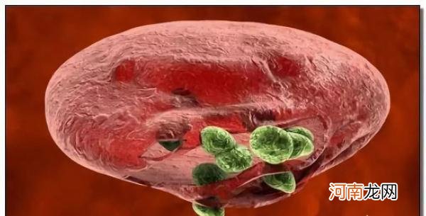 89岁屠呦呦再次震惊世界 屠呦呦的故事