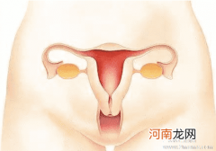 产后子宫恢复方法介绍