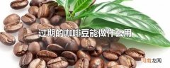 过期的咖啡豆能做什么用