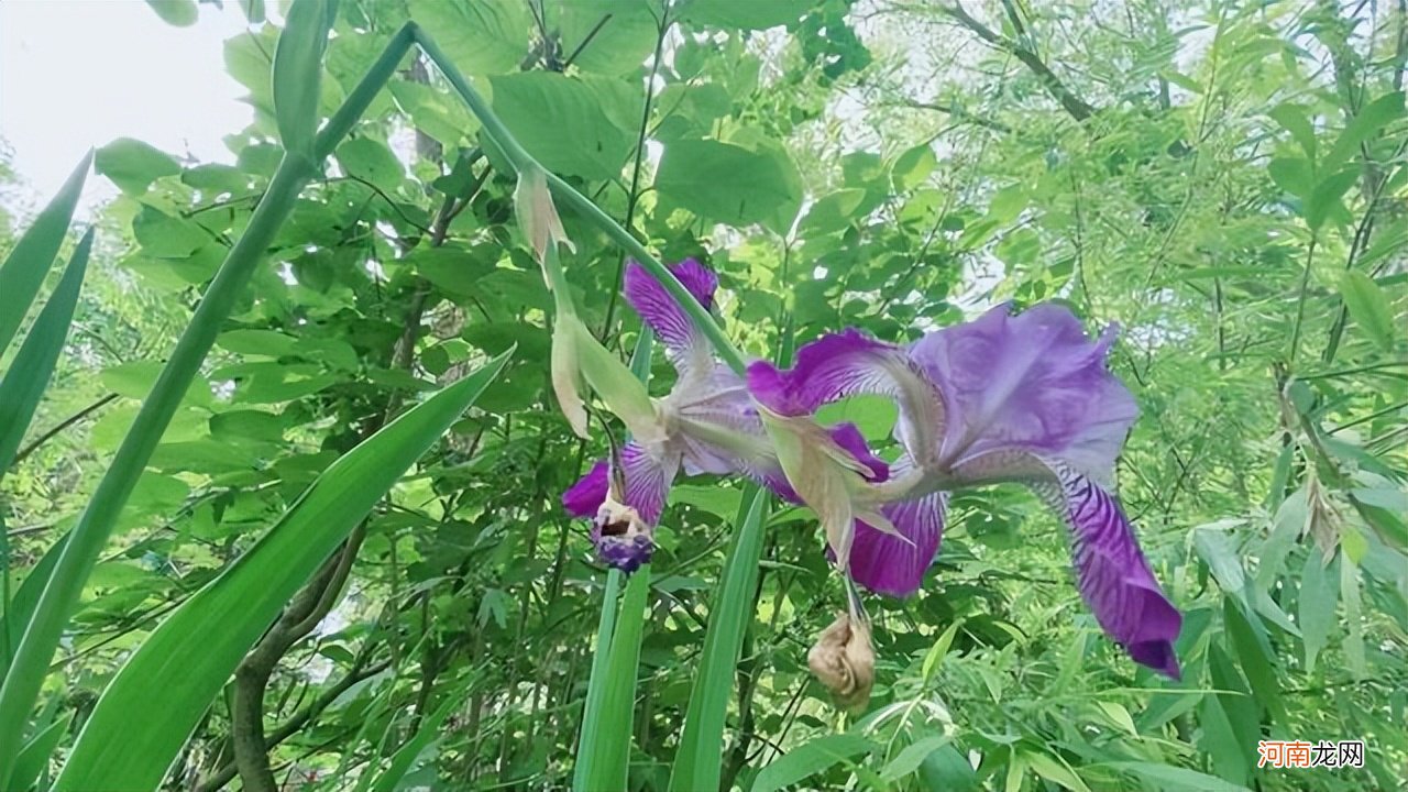 面对背叛：“为了孩子”的原配，逃不开3种结局