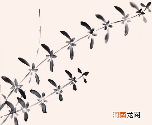 4种水草画法 各种水草画法