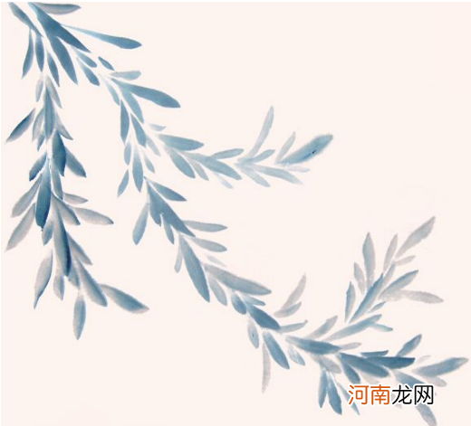 4种水草画法 各种水草画法