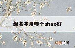 起名字用哪个shuo好_取名字哪个zhi好