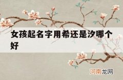 女孩起名字用希还是汐哪个好_取名字用哪个汐好