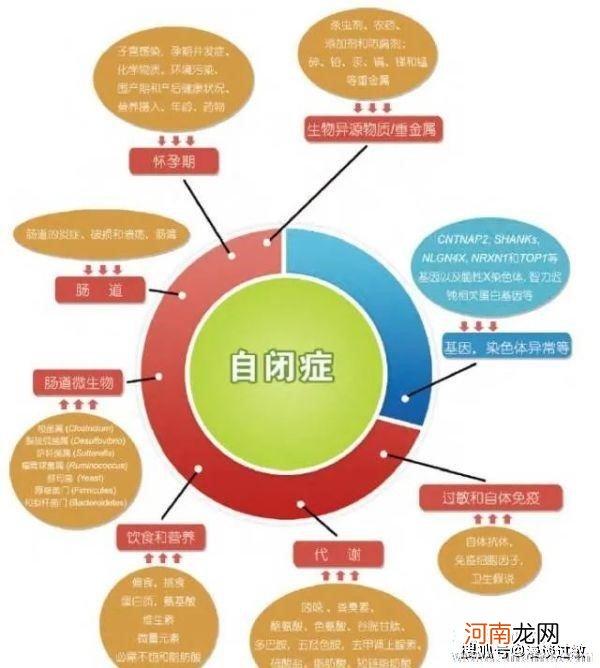 空气污染与患自闭症的关系