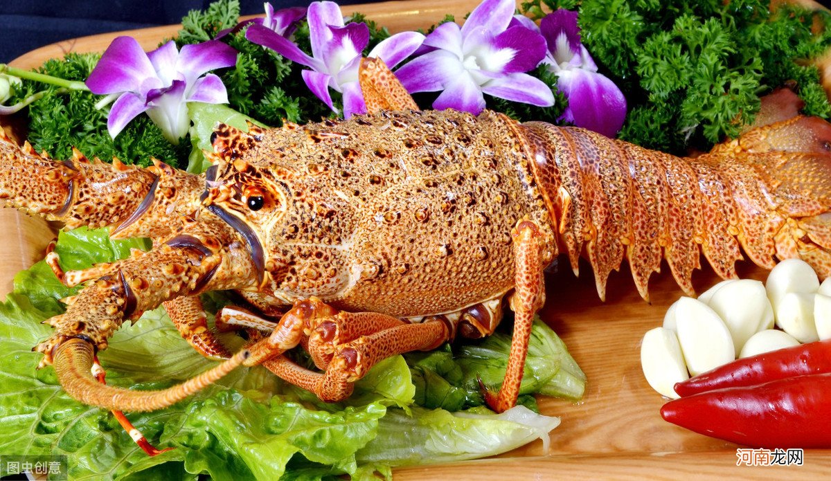 清淡大龙虾的做法大揭秘 大龙虾的做法大全