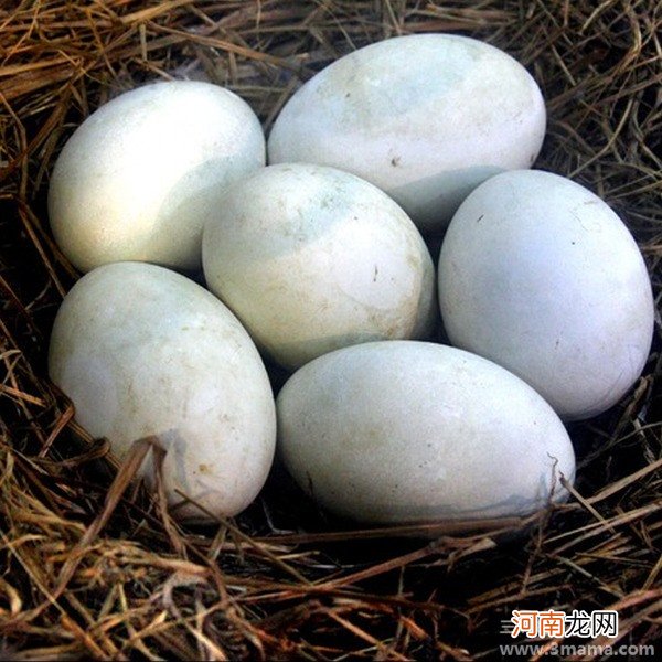 孕晚期一天吃一个鹅蛋