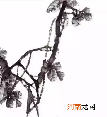 写意柿子的几种画法 国画柿子的几种画法