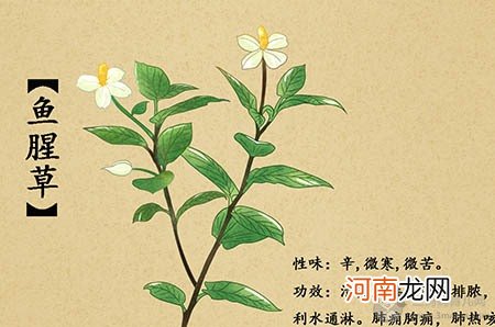 宝宝有耳屎能不能掏？耳屎如何清理？