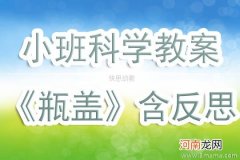 附教学反思 小班科学活动教案：瓶子和盖子教案